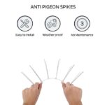 Transparent Bird Spikes (Length: 1 Feet) - Image 2